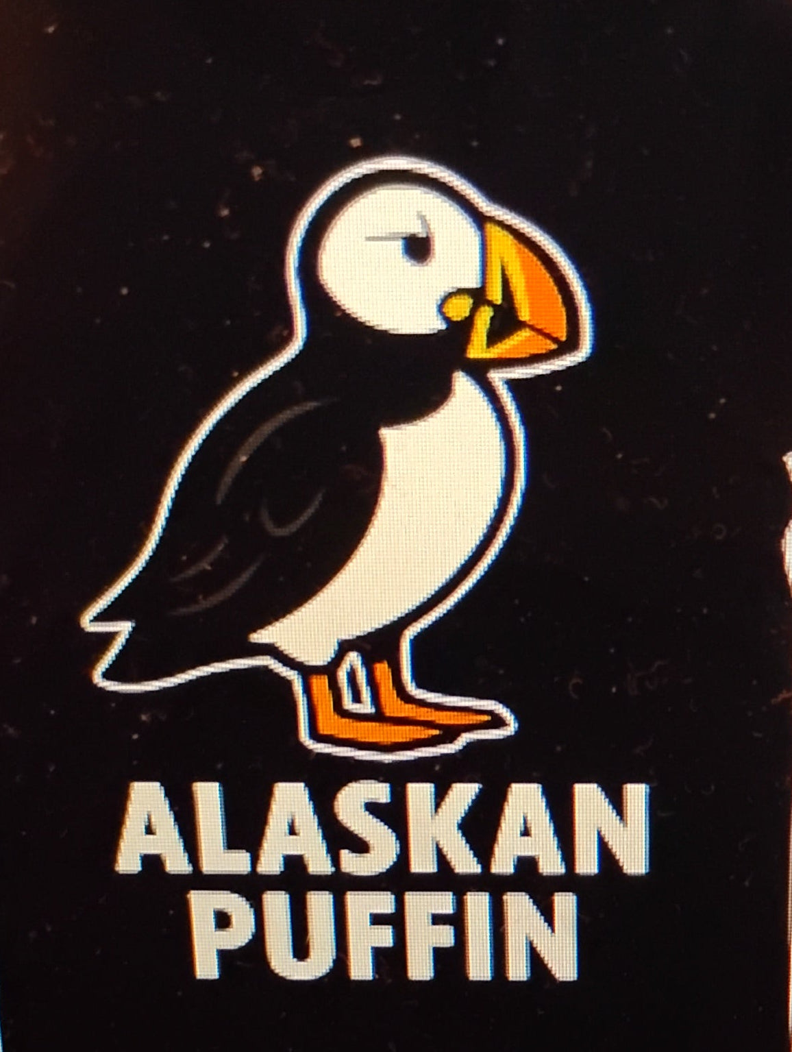 Alaskan Puffin T Shirt